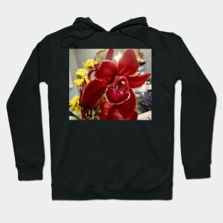 Tropical Orchid Hoodie